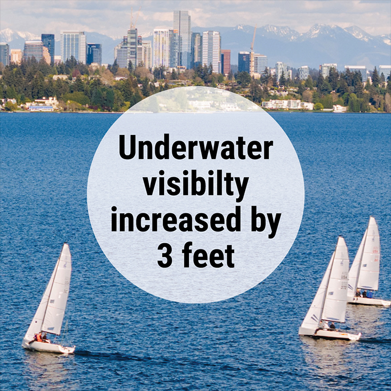 Message: Lake Washington's underwater visibility increased by three feet