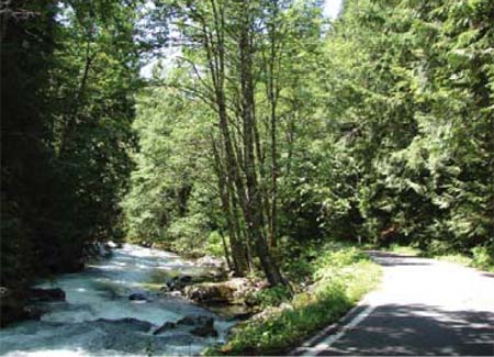 Old Cascade Scenic Highway.