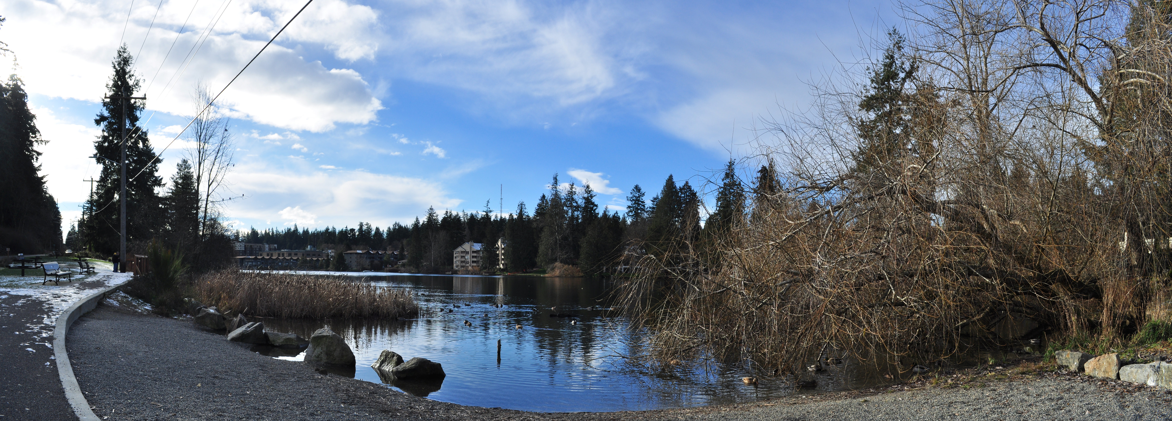 View of Echo Lake, Shoreline, WA.  By Joe Mabel, CC BY-SA 4.0, https://commons.wikimedia.org/w/index.php?curid=54711249