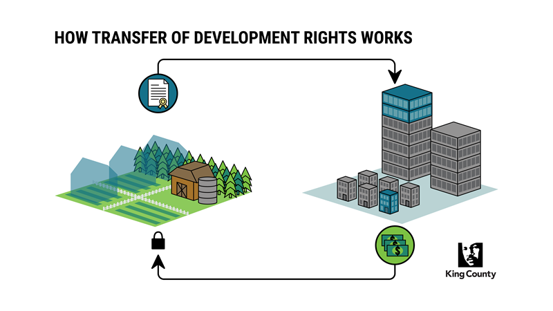 Cartoon graphic showing how TDR work.