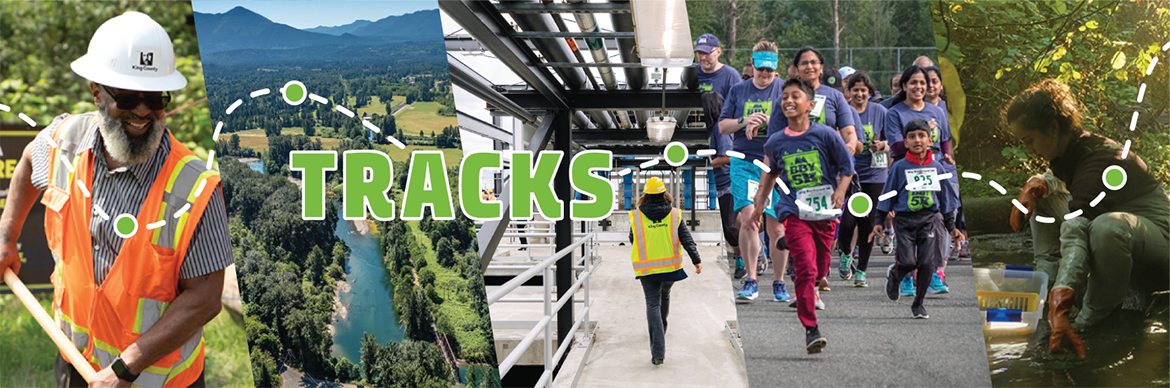 Tracks story map