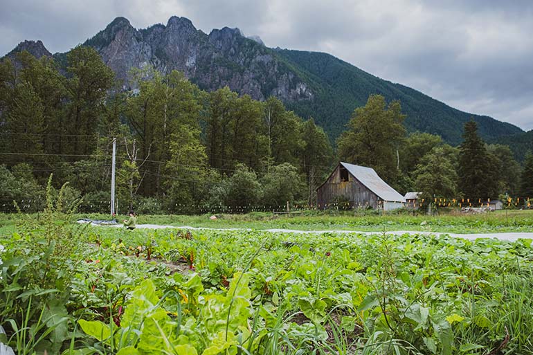 Mount Si farm photo credit KC Parks