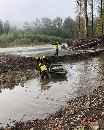 Loading live stakes for planting at Lones Levee, Green River