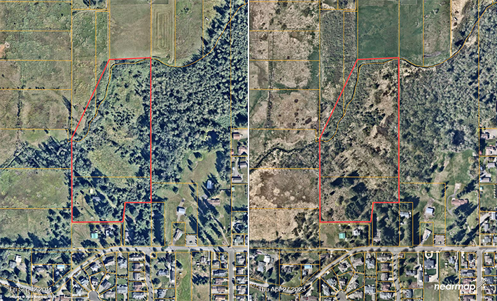 Aerial photos showing before and after the Magnusson restoration project on Newaukum Creek