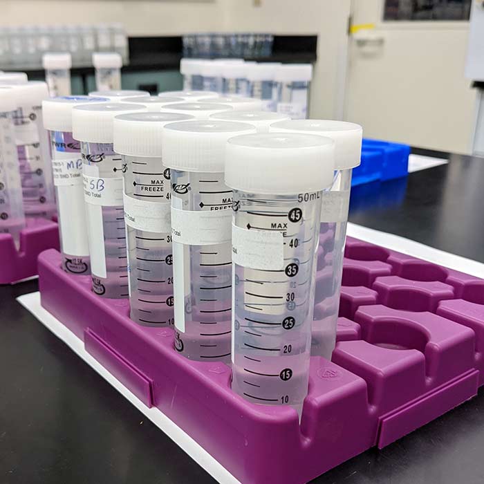 Clear centrifuge tubes filled with colorless liquid are lined up in a purple plastic holder on a black laboratory bench