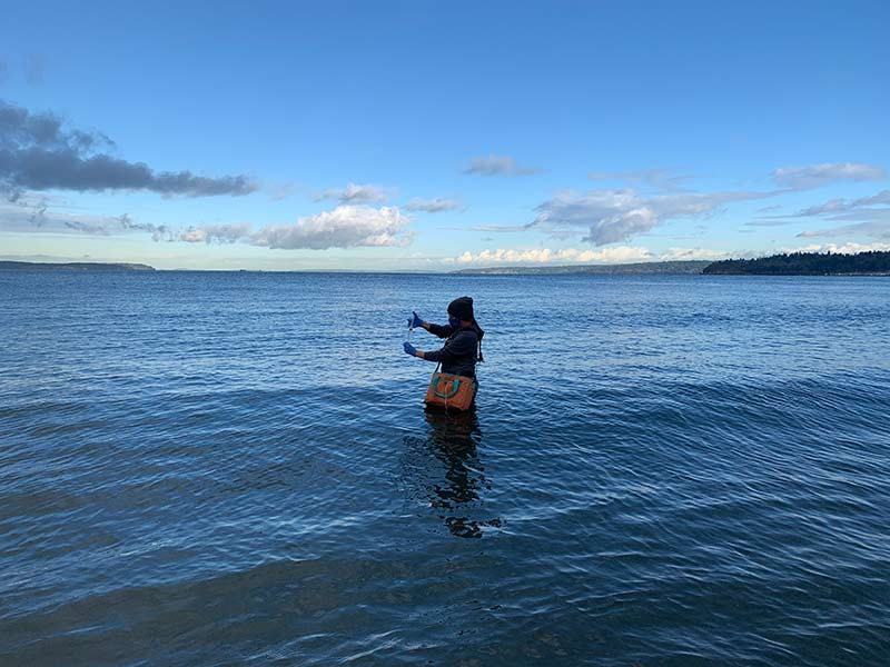 A scientist in dark colored waders and an orange bag collects a water sample while standing in Puget Sound.