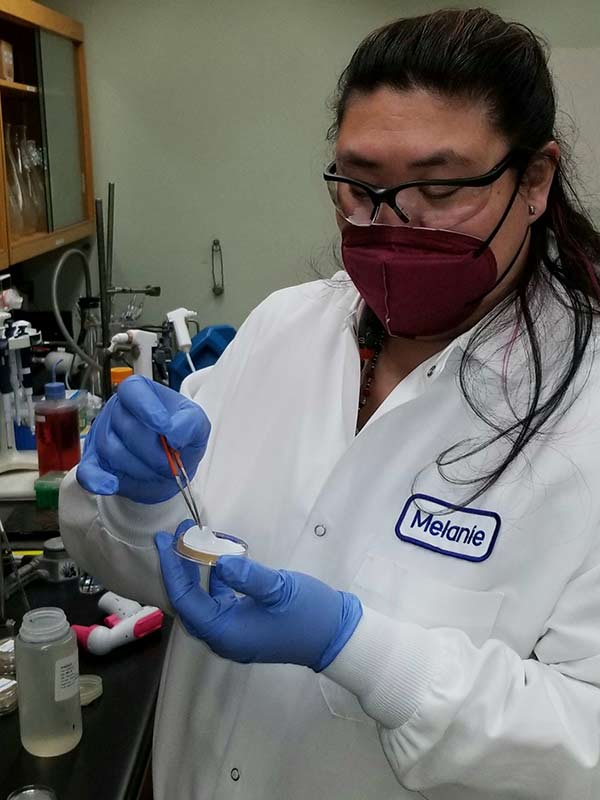 A scientist wearing a white laboratory coat and blue gloves is standing in front of a vacuum filtration apparatus at a black laboratory bench using an electronic pipettor to add sample to the filters for microbiological analysis.