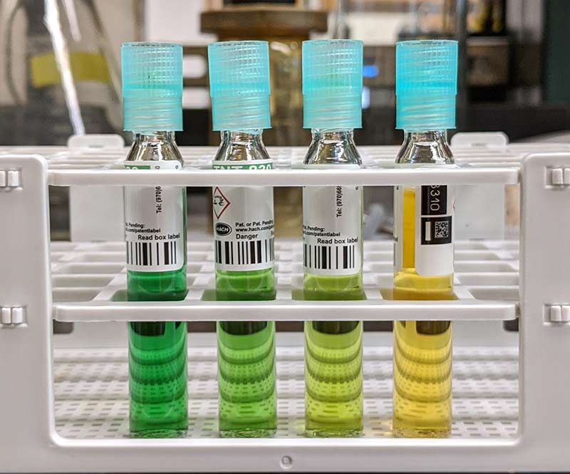 A photo of four glass vials containing liquid of varying shades of green and yellow in a white rack in a laboratory.