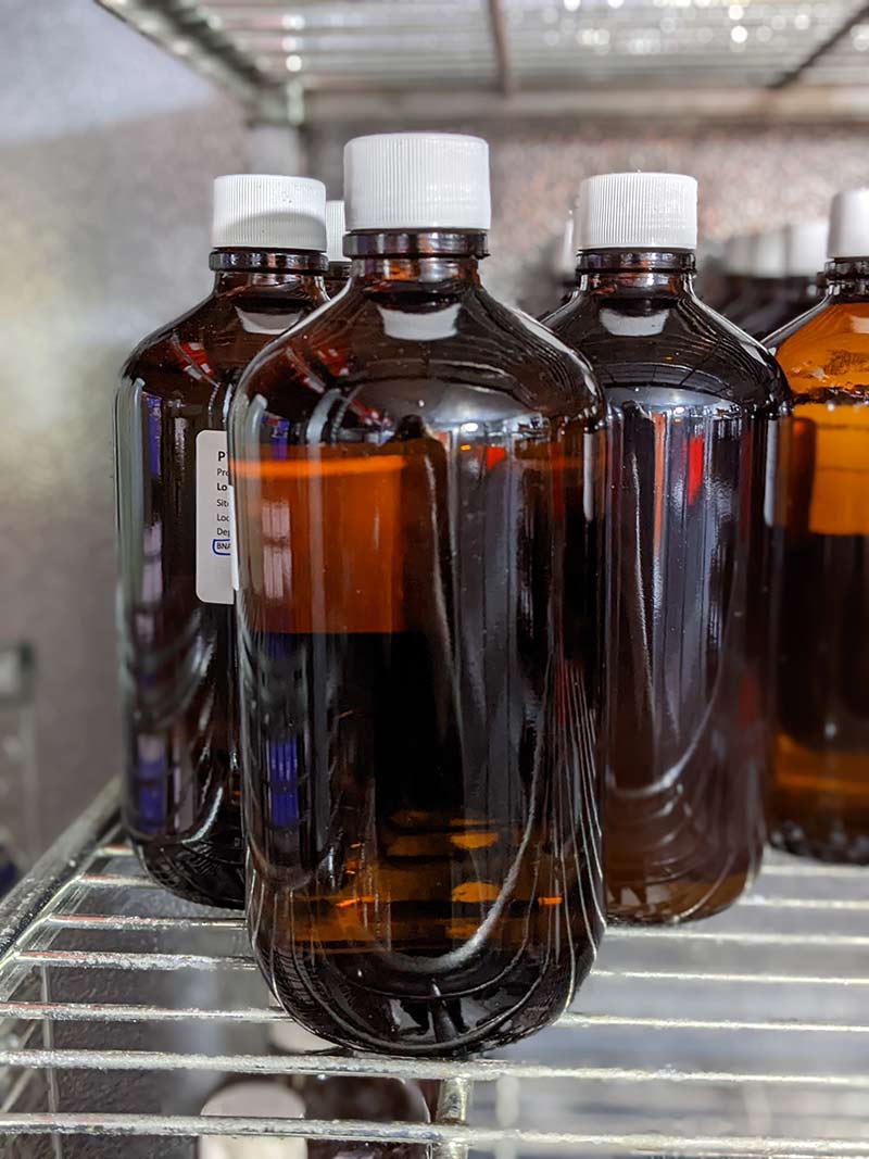 Several amber glass bottles are lined up on a metal grate inside a refrigerator with a grey background