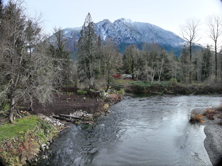 A river with trees along the riverbank and an area with fresh dirt and a wood revetment.