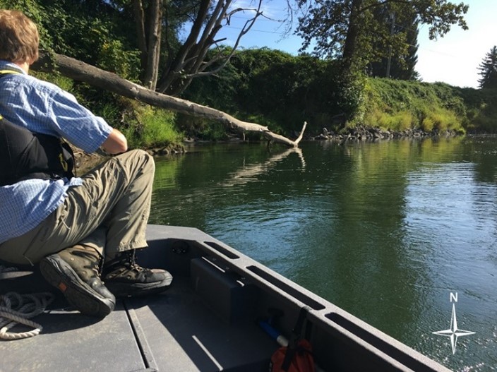 A person on a small boat looks toward a riverbank with a fallen tree in front of it.