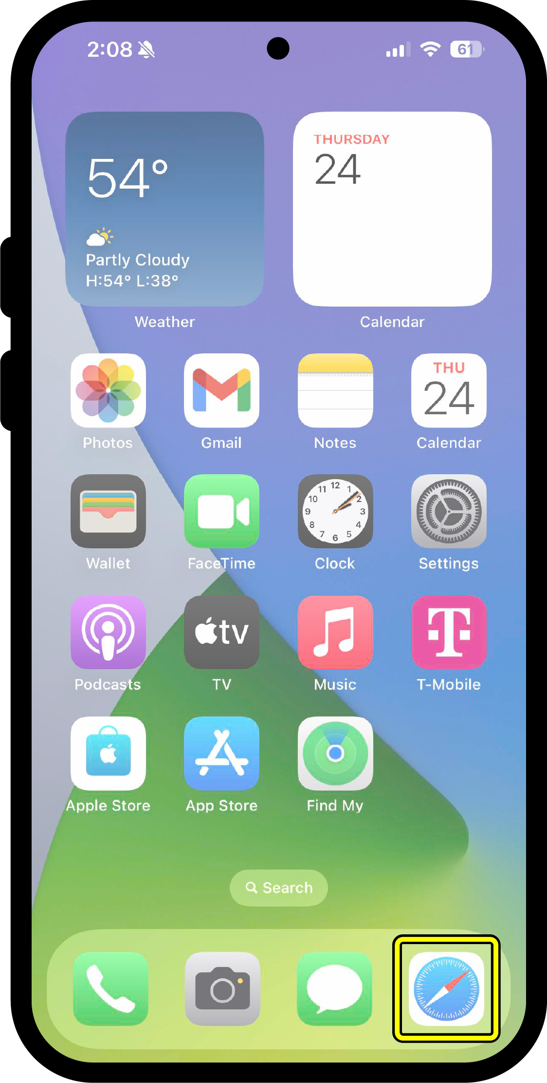 iPhone home screen