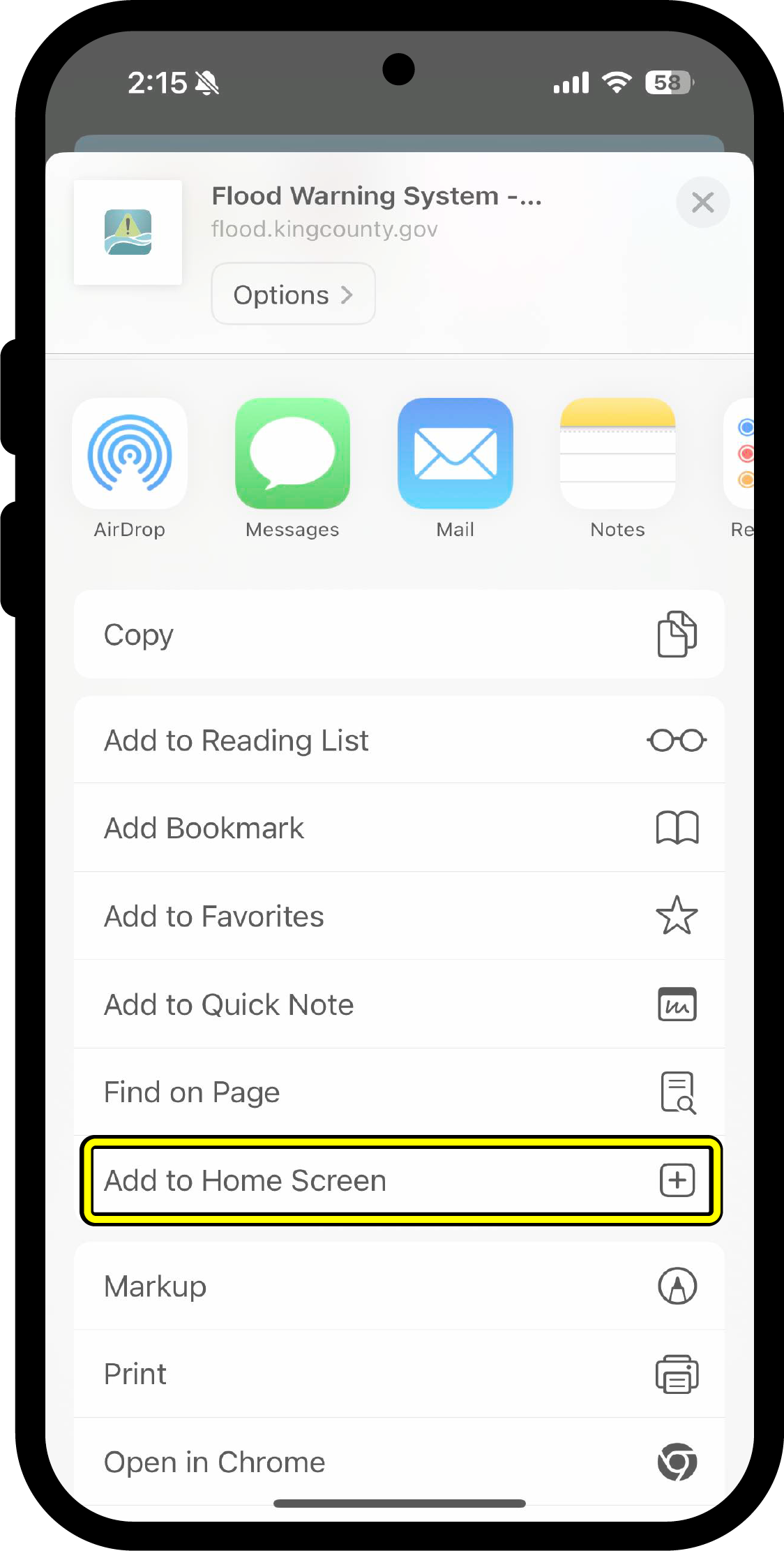 iPhone share options 