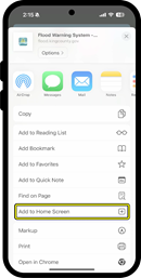 iPhone share options