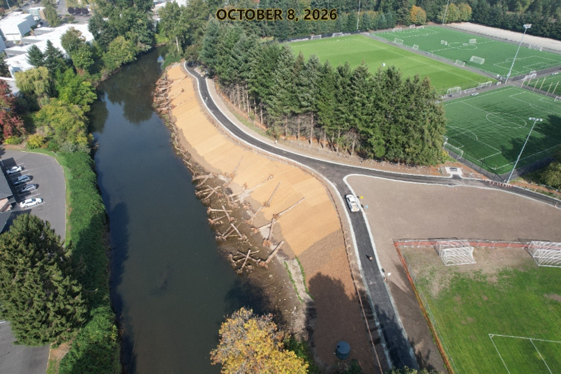 River with a setback levee and log habitat features.