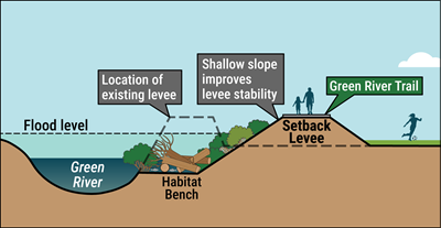 Cross-section drawing of setback levee as described in caption.