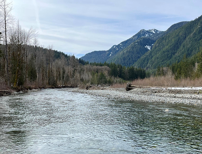 Lower Miller River