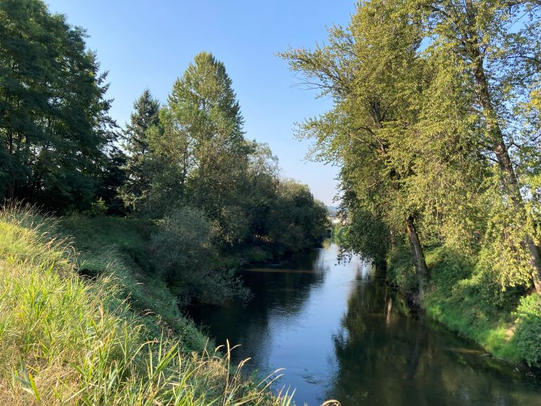 The Green River flows past the McCoy Levee shaded by tall trees and grass. Golden sunlight shines on trees on the opposite riverbank.