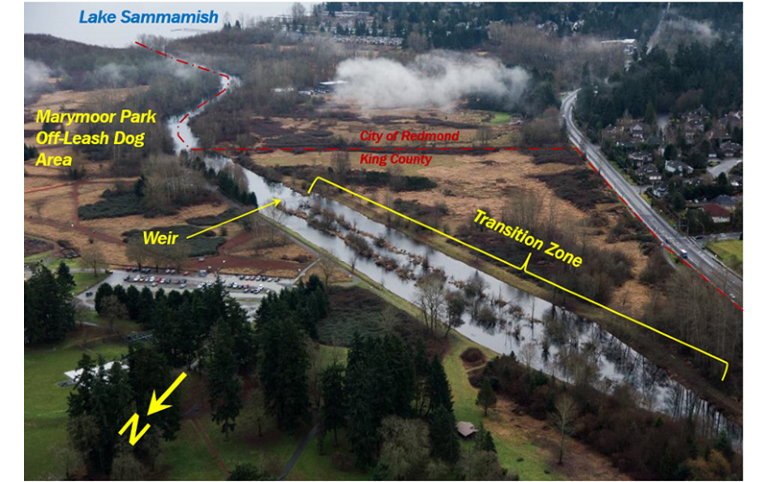 Aerial photo showing a narrow waterway, known as the Transition Zone, that extend out of Lake Sammamish surrounded by parkland.