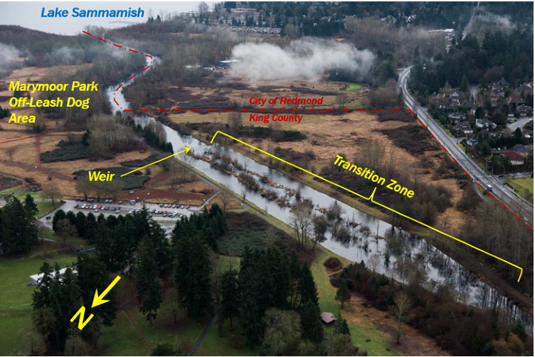 Aerial photo showing a narrow waterway, known as the Transition Zone, that extend out of Lake Sammamish surrounded by parkland.