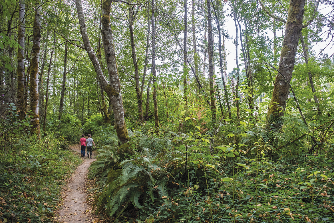 Kids on a trail through a forest.