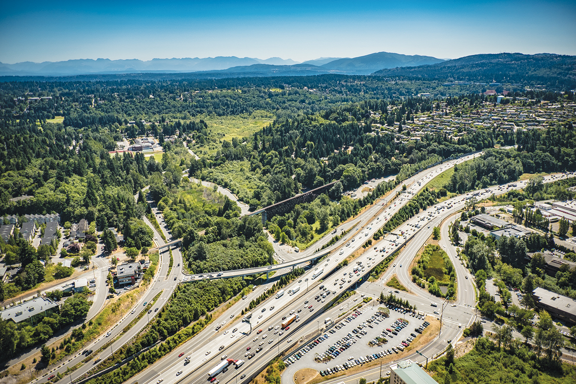 Freeway interchange with dense forest looking into the distance.