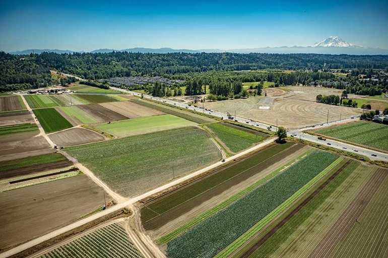 Patchwork of farmland in a flat river valley