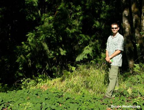 a person standing next to a false brome patch. The false brome stalks with inflorescence comes up to about their thighs