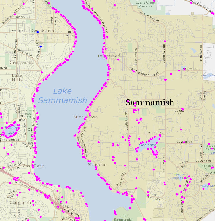 2021 map of Class B weed infestations along Lake Sammamish. Most of the purple points are garden loosestrife infestations.
