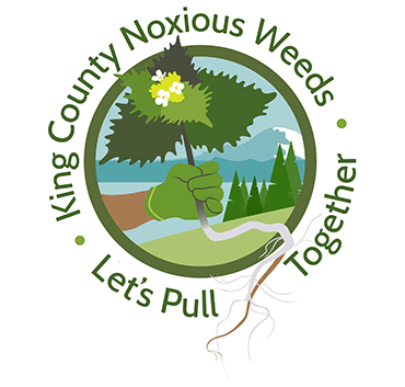 King County Noxious Weeds Lets Pull Together