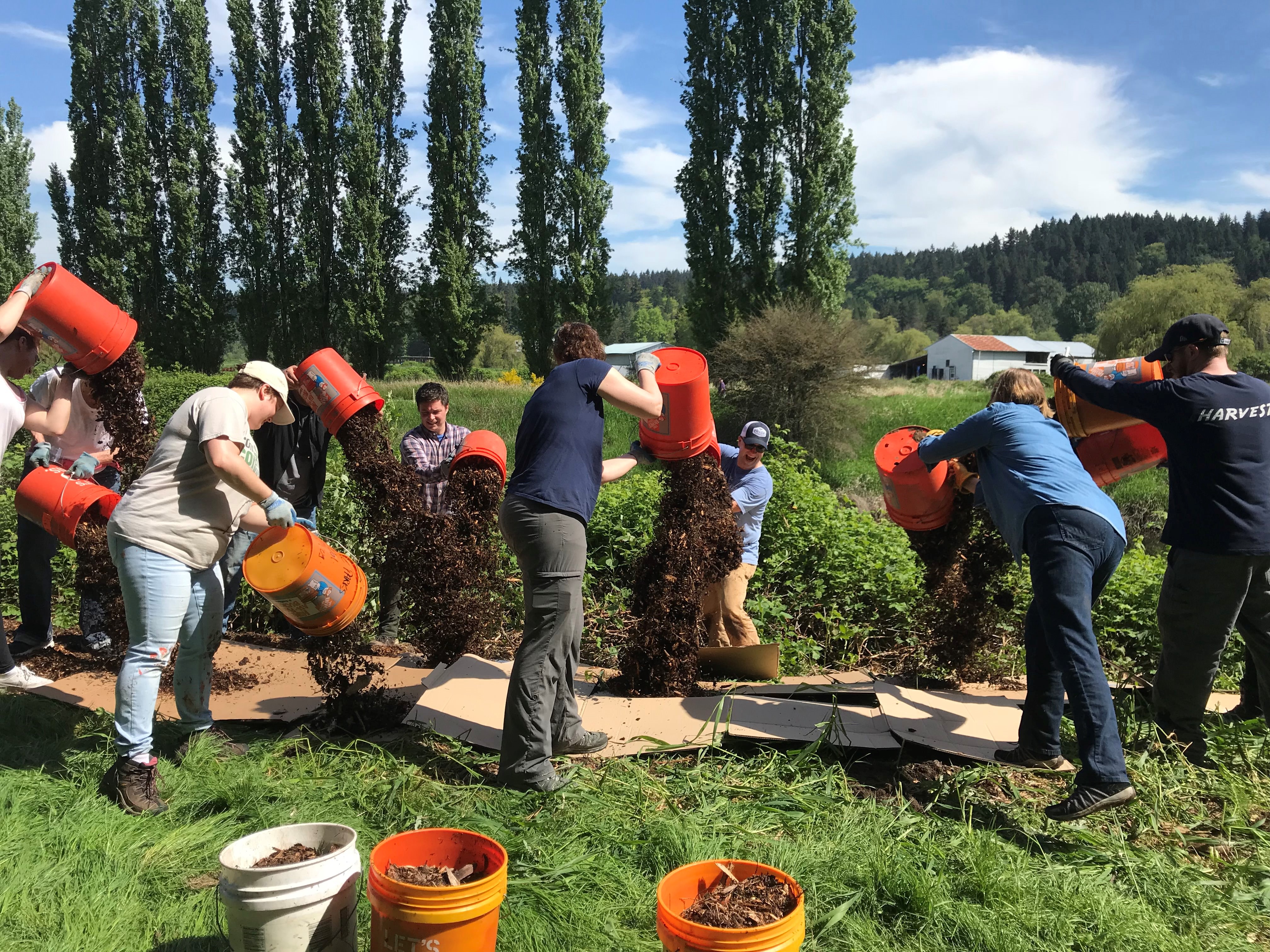 Group of people toss mulch from buckets onto cardboard.