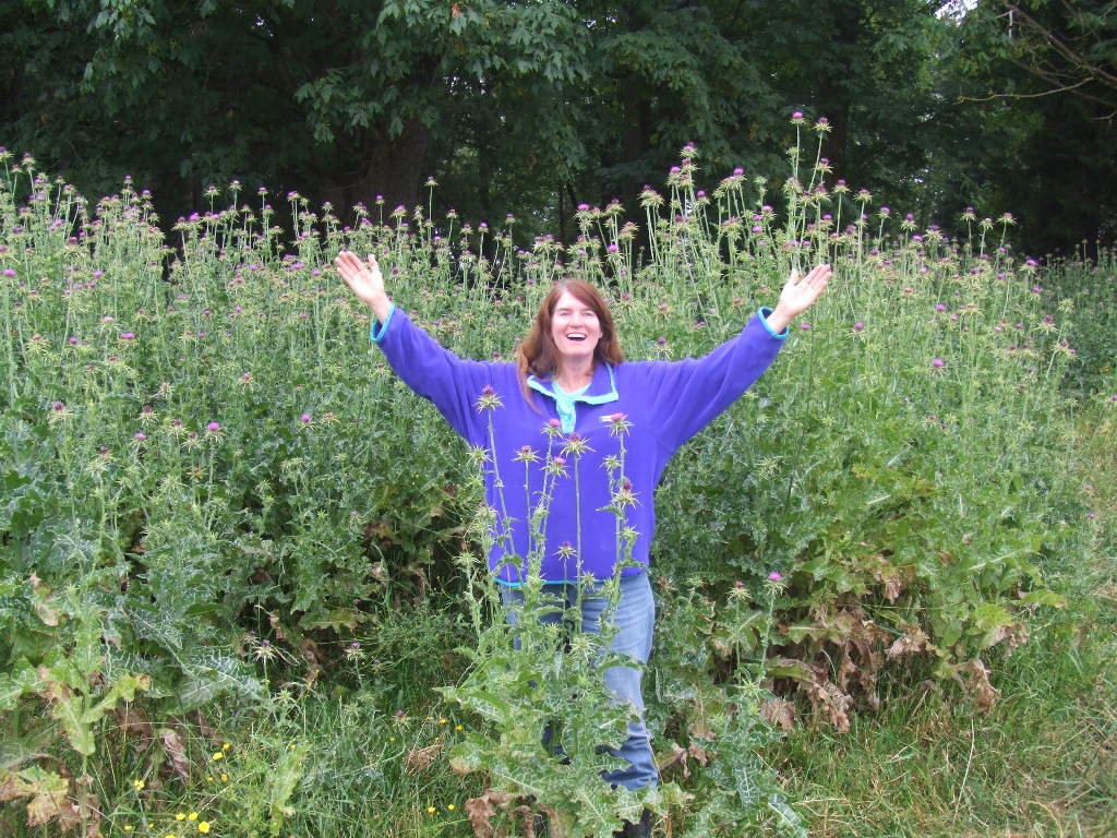 Specialist standing in front of a large stand of flowering milk thistle.