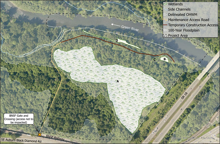 Aerial photo that maps out existing conditions in the Auburn Narrows Floodplain Reconnection Project area including the Green River and 100-year floodplain, its ordinary high water mark (OHWM) and side channels downstream of State Route 18, a large wetland, maintenance access road and temporary access for construction.