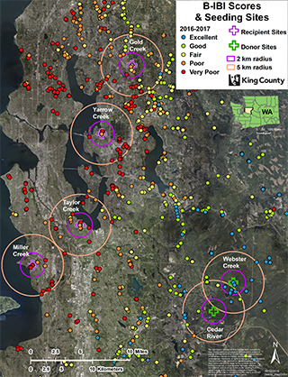Satellite map of bug donor and receiver streams