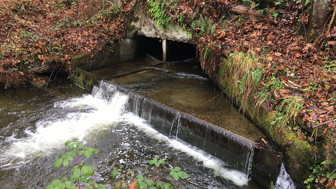 Concrete structure in Carey Creek that is a partial barrier to fish passage.