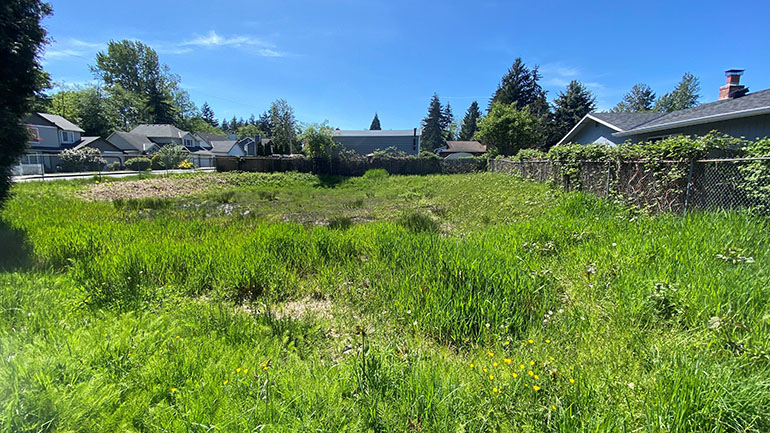 Mill Creek Pond looking west