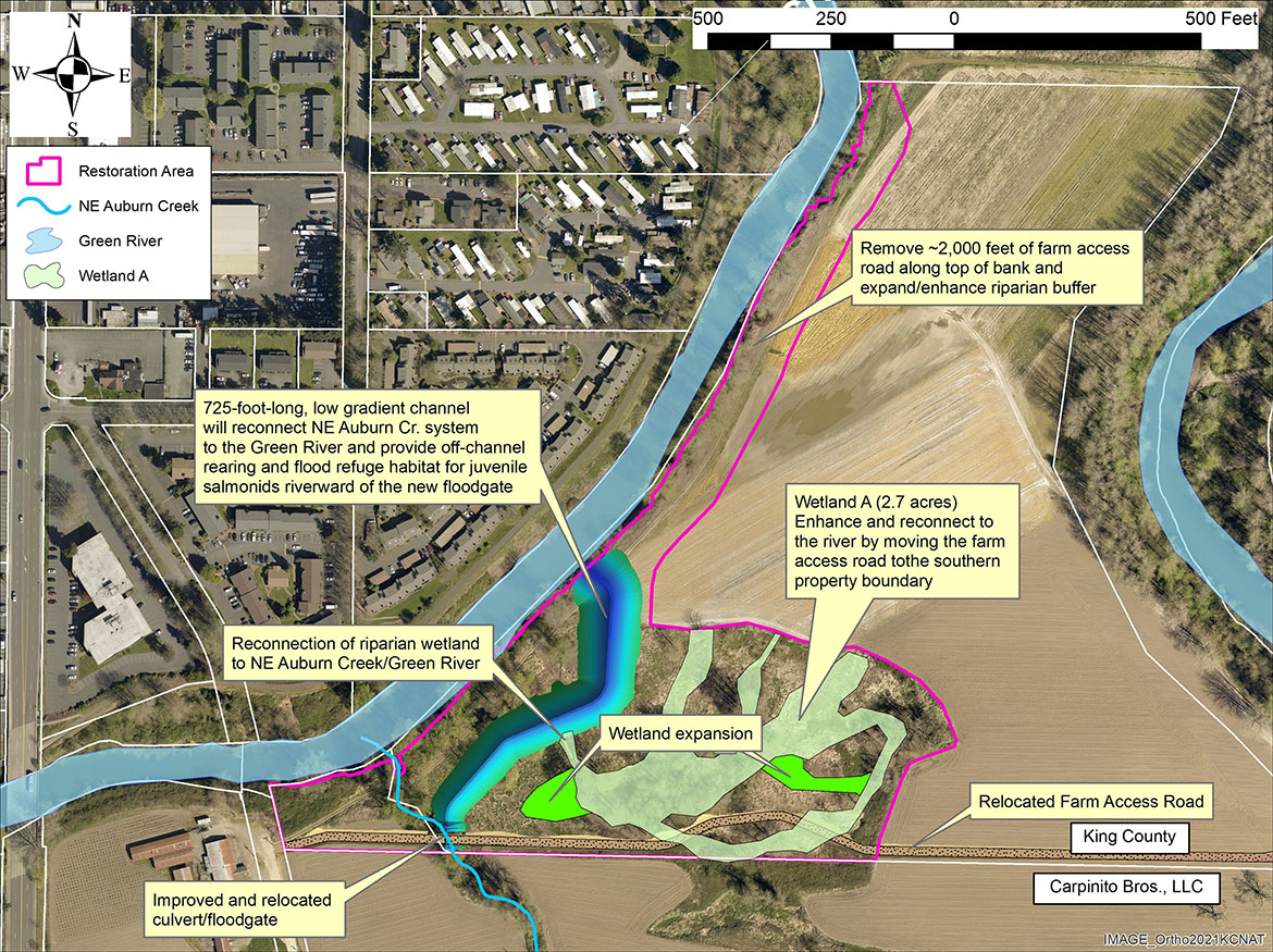 NE Auburn Creek Project plan - aerial photo with Green River, creek and wetland habitat improvements and surrounding farm.