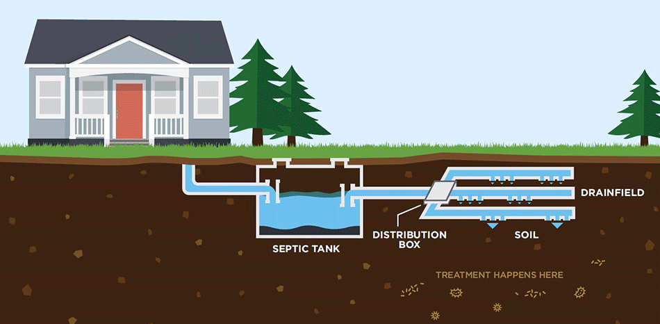 septic cross section