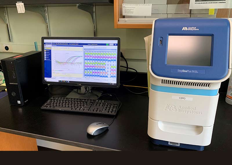 A desktop computer, monitor, keyboard, and mouse sit next to a white and blue scientific quantitative Polymerase Chain Reaction (PCR) instrument on a black laboratory bench. The screen shows a data plot with several brightly colored zig-zagging lines indicating quantities of DNA present. 