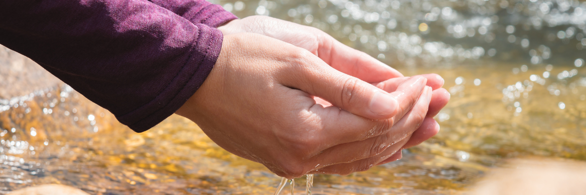 Hands cup water above a flowing stream