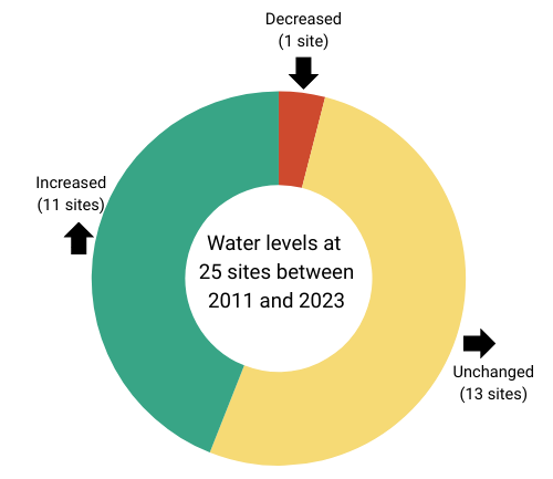 A chart showing the number of sites where water levels went up (11), stayed the same (13), or went down (1)