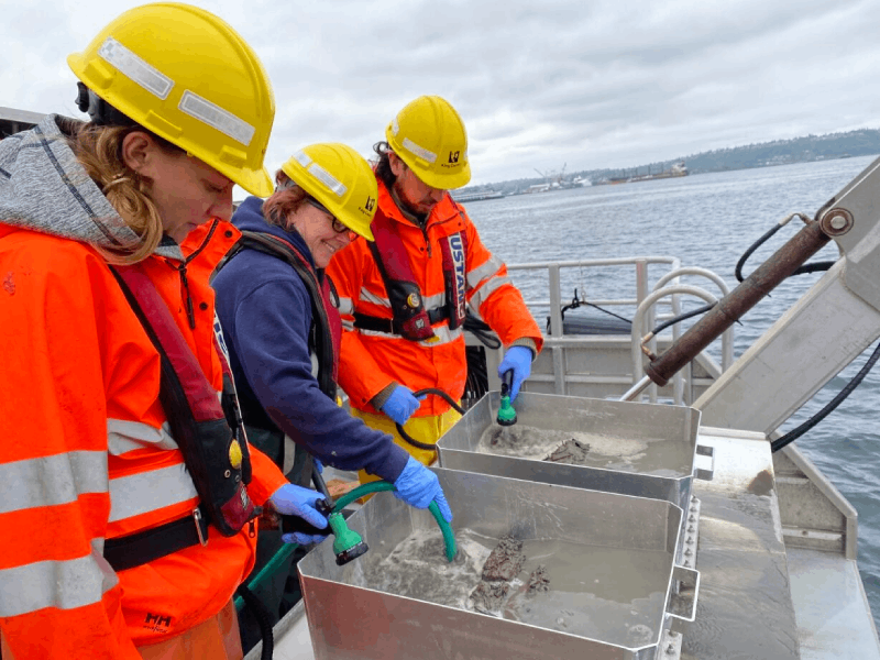 A team of environmental scientists sampling marine sediment.