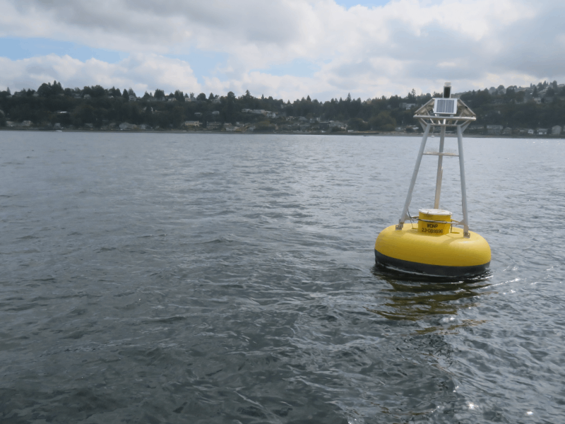A marine buoy in Puget Sound.