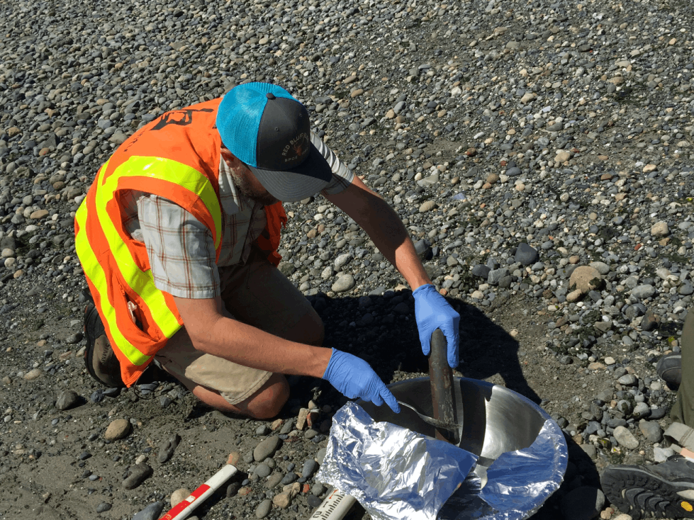 Image of scientist on the beach using a hand core to collect sediment to mix in a bowl.