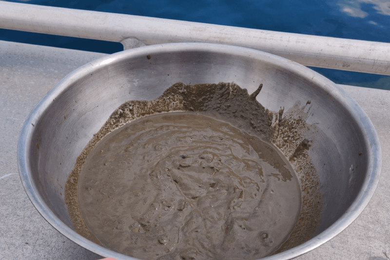 A metal bowl containing a marine sediment sample.