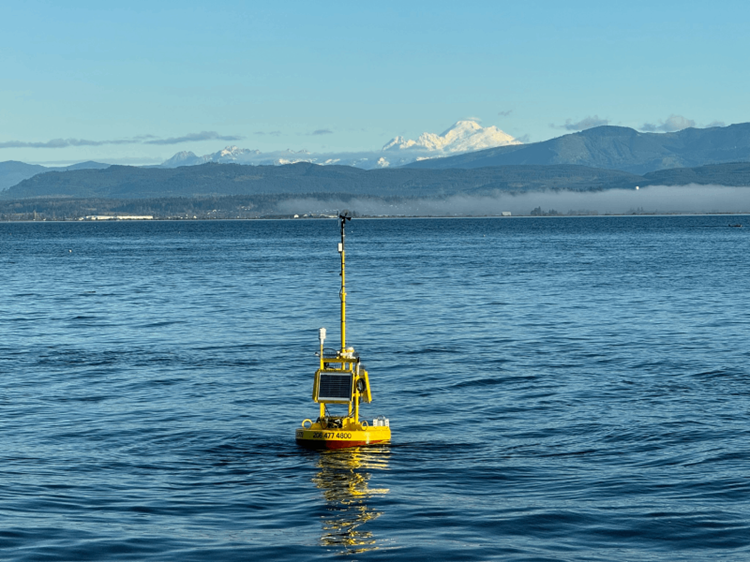 An oceanographic mooring floating in Puget Sound.