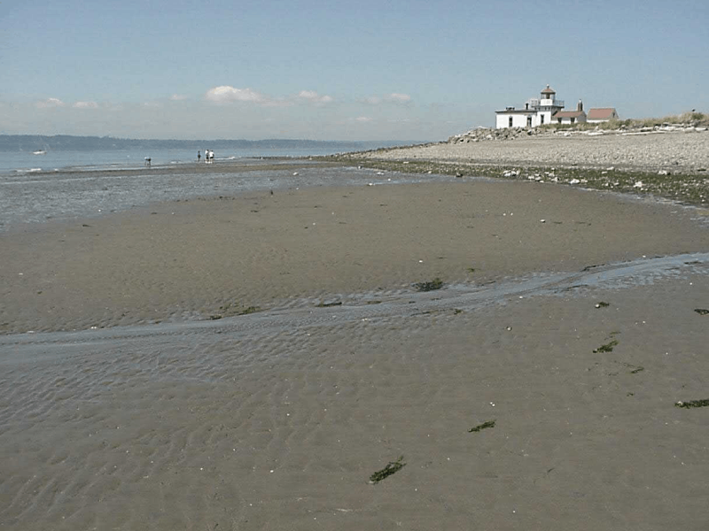 A beach with a lighthouse in the background.