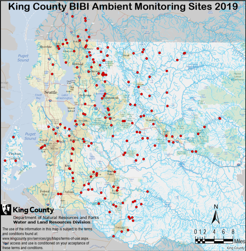 2019 bug monitoring sites