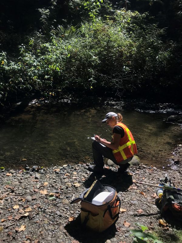 Staff biologist recording data by stream