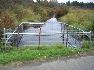 Beaver exclusion fence trash rack.